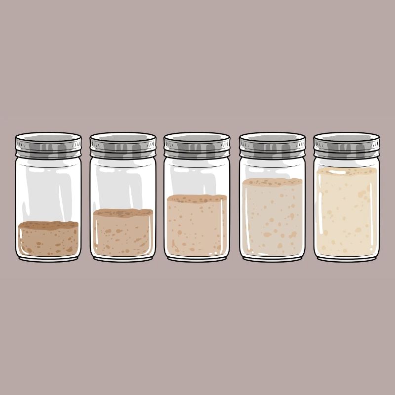 Sourdough I Sourdough Starter Evolution I Bread