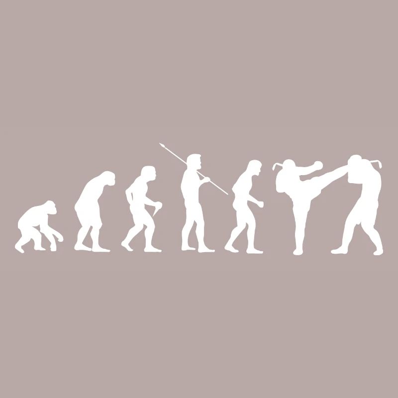 Evolution Kampfsport Karate Judo Kampfkunst Bjj
