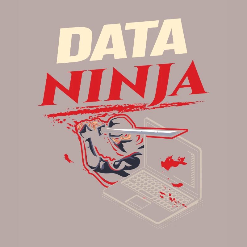 Data Ninja computer programming coder