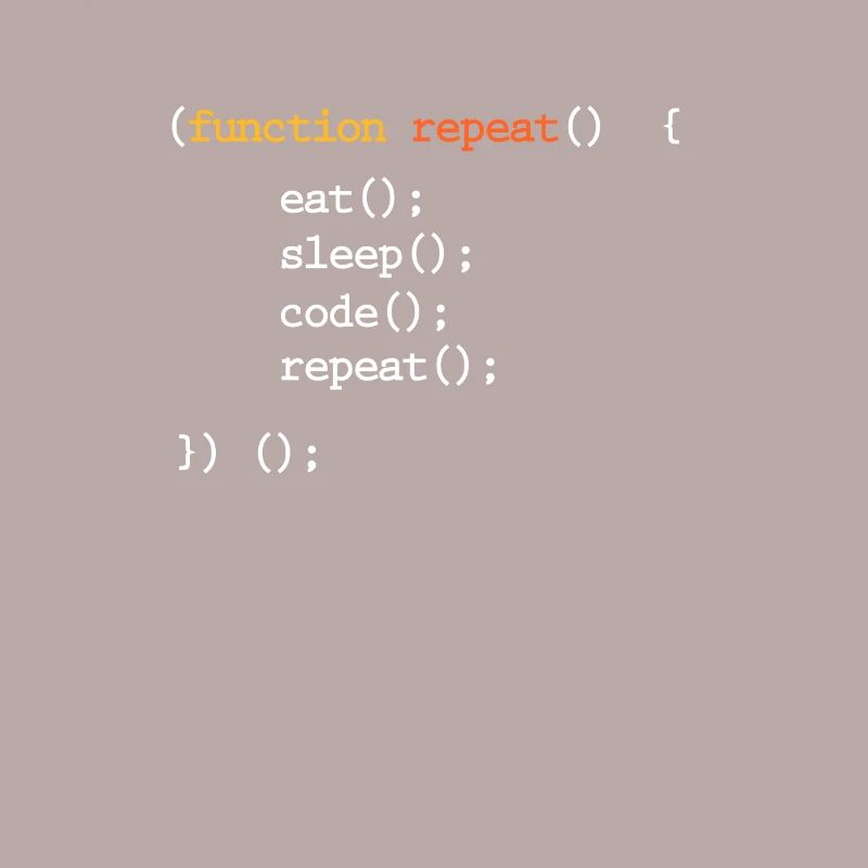 programmer