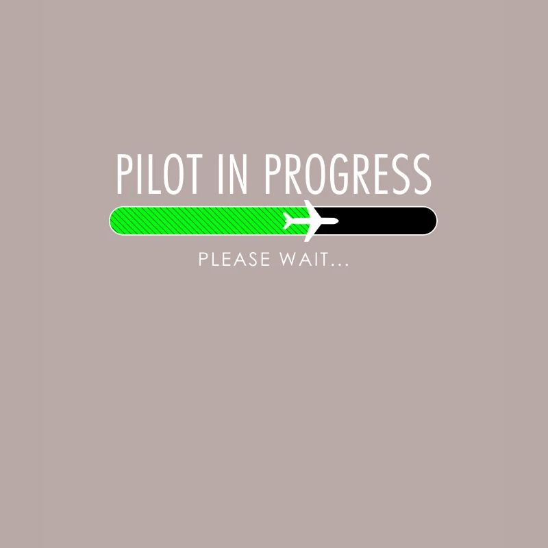 Pilot In Progress Pilot Training Flight School
