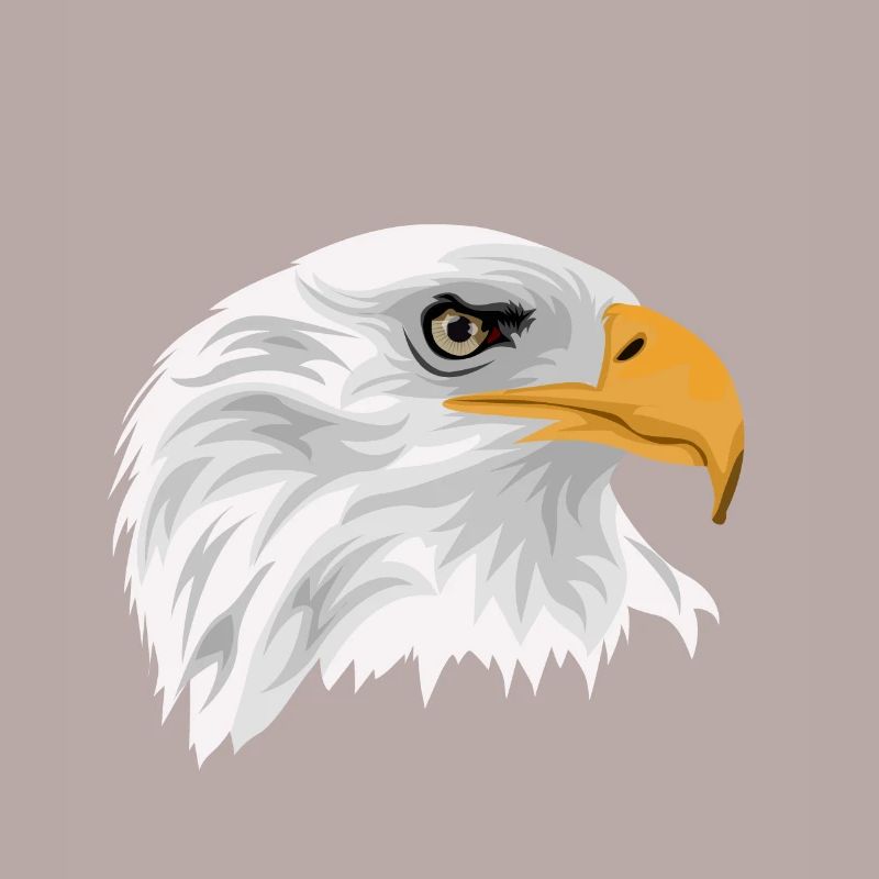 Bald eagle head with beak as a drawing