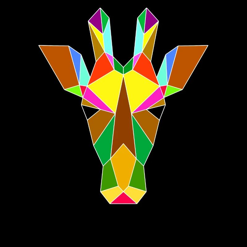 Giraffengeometrie