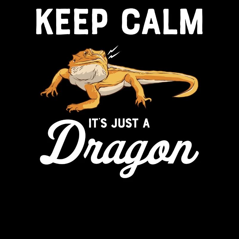 Cadeau de Bartagame Reptil Nabotagame
