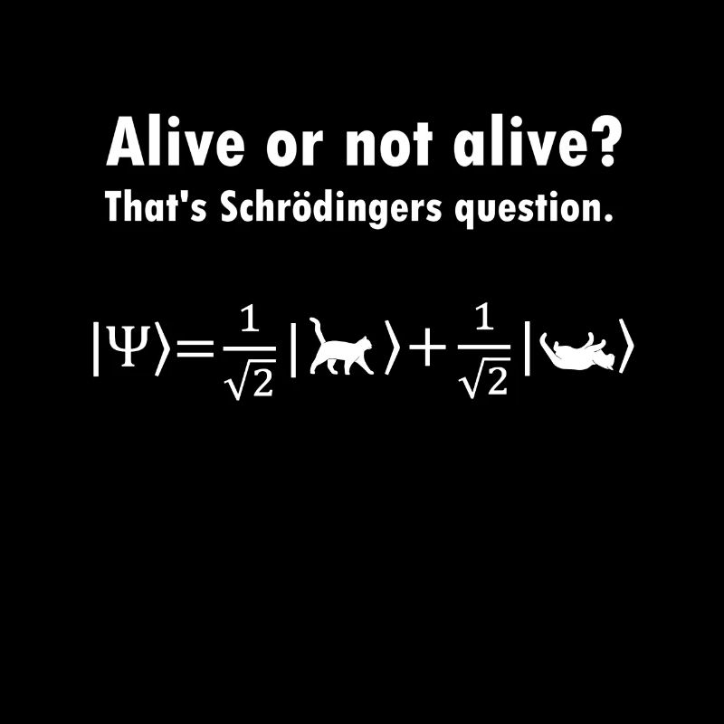 Chat De Schrödinger - physicien cadeau de physique nerd