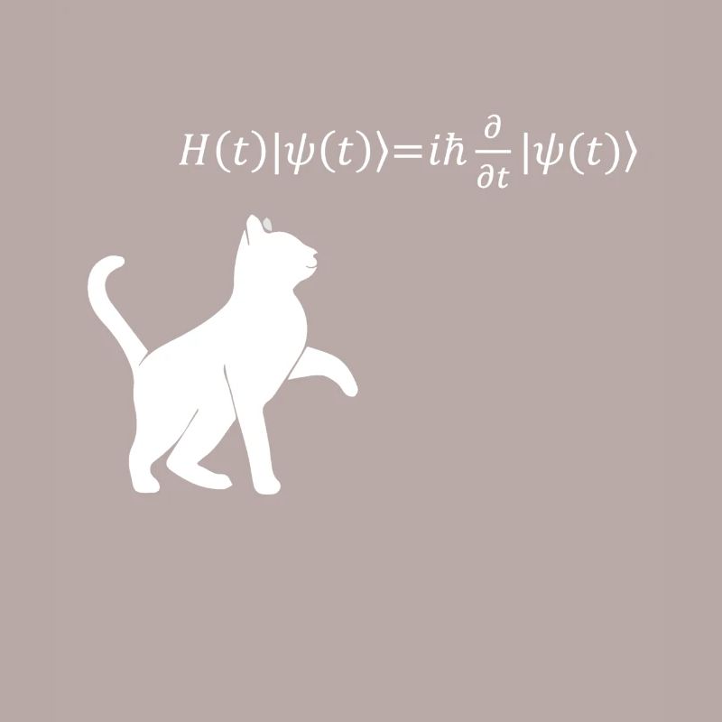 Schrödingers Katze - Physiker Geschenk Physik Nerd