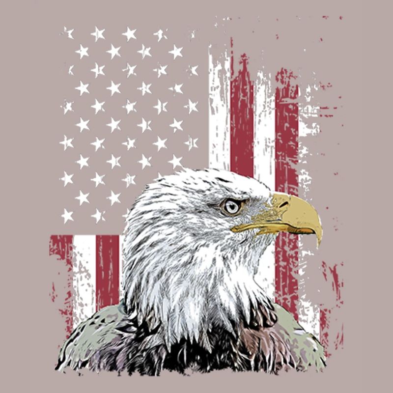 Independence Eagle American Flag Eagle