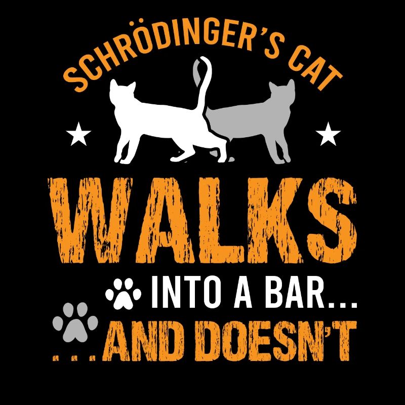 Schrödinger's Cat Walks Into A Bar And Doesn't