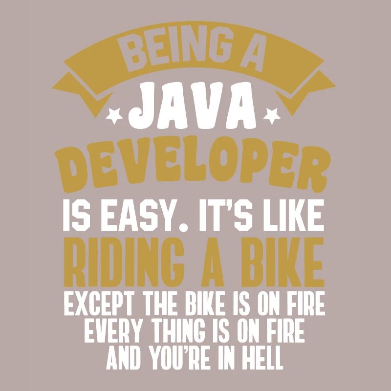 Java Developer