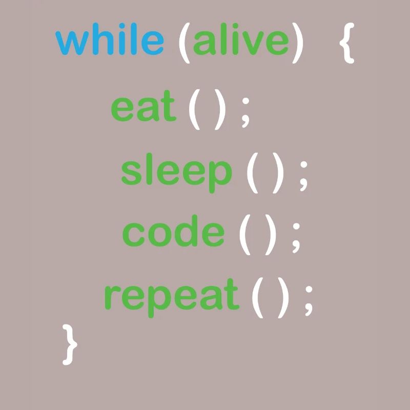 Python Coding Software Developer