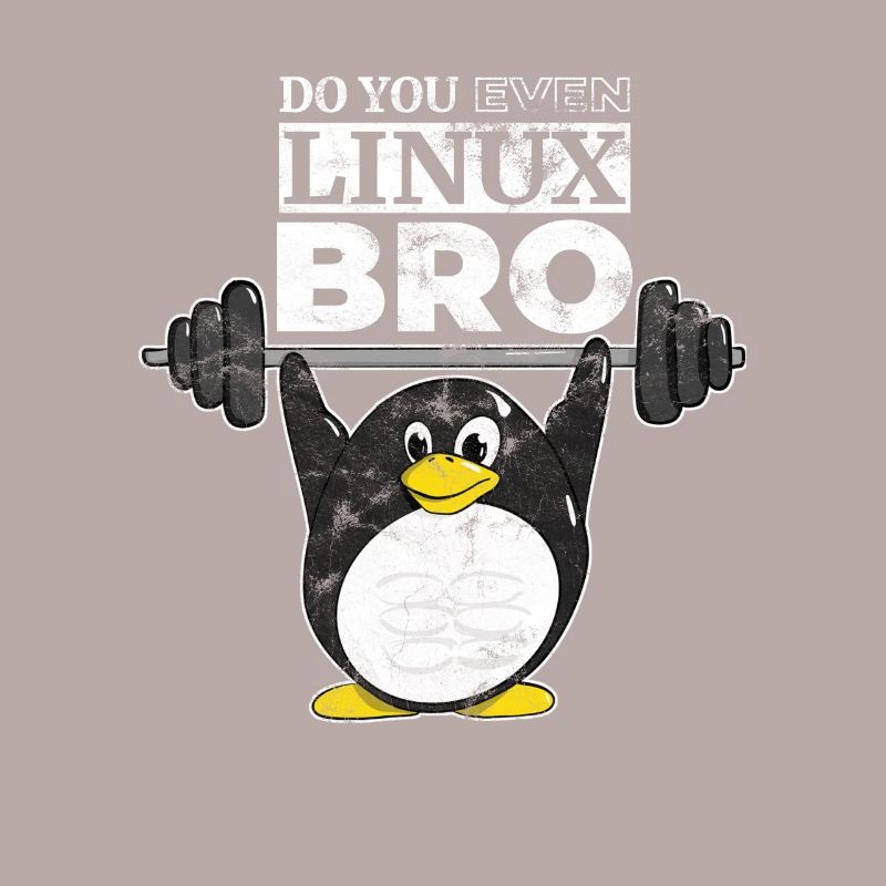 Do You Even Linux Bro Linux Pinguin hebt Gewichte
