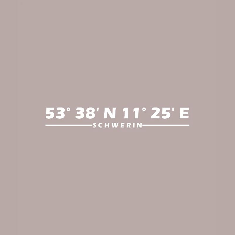 Schwerin coordinates