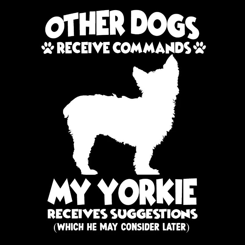 Funny Obedience Yorkshire Terrier Dog Training