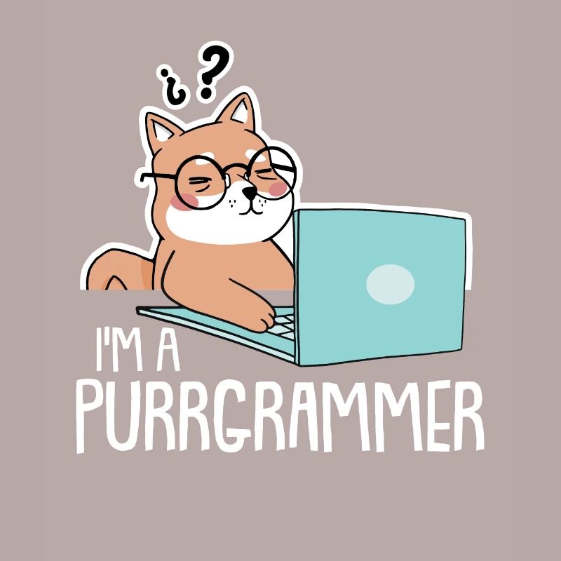 Programmierer Coder Software Entwickler