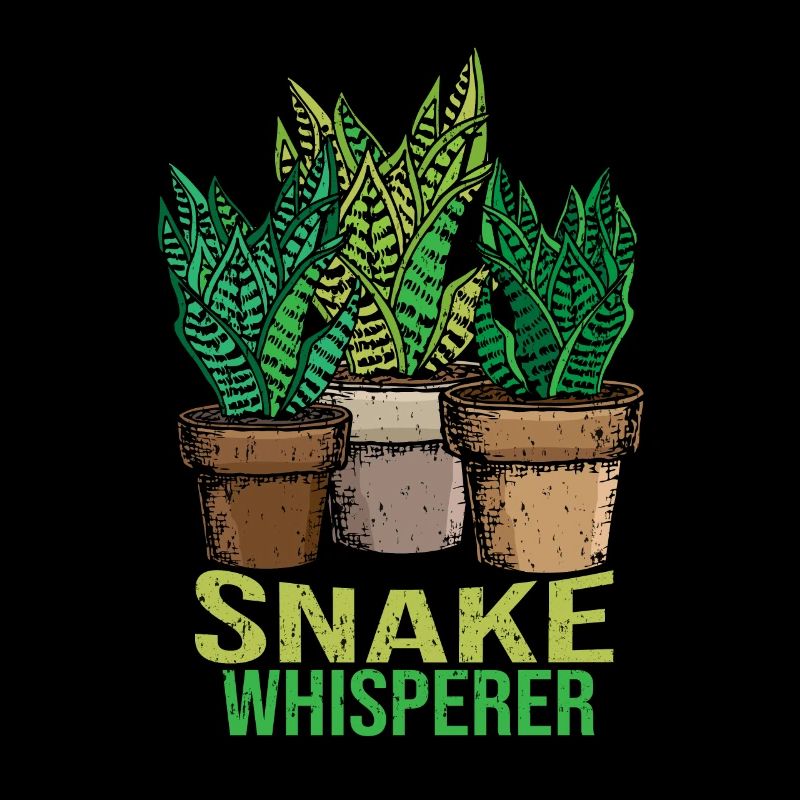 Bow Canapa Regalo Donne Sansiviera Pianta