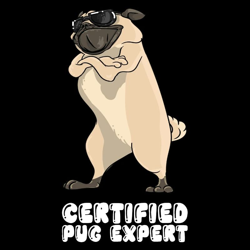 Certified Pug Expert
