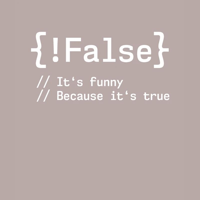 False It's Funny Because It's True Programmierer