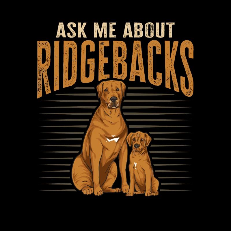 Chien Rhodesian Ridgeback
