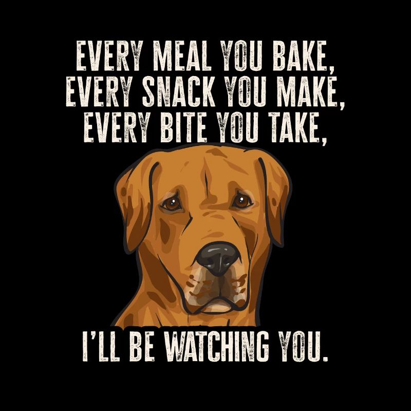 Chien Rhodesian Ridgeback