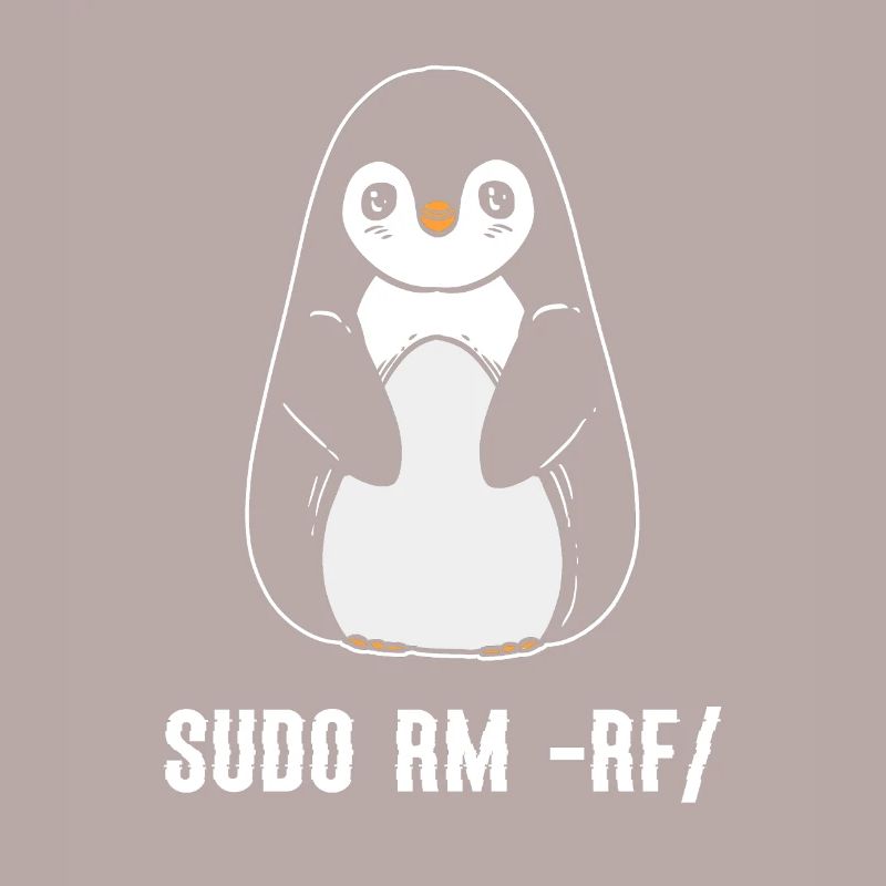 sudo rm rf / Programmeur informatique Linux