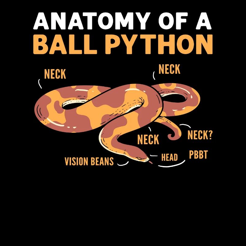 Anatomie d’un python sphérique. Python boule de banane