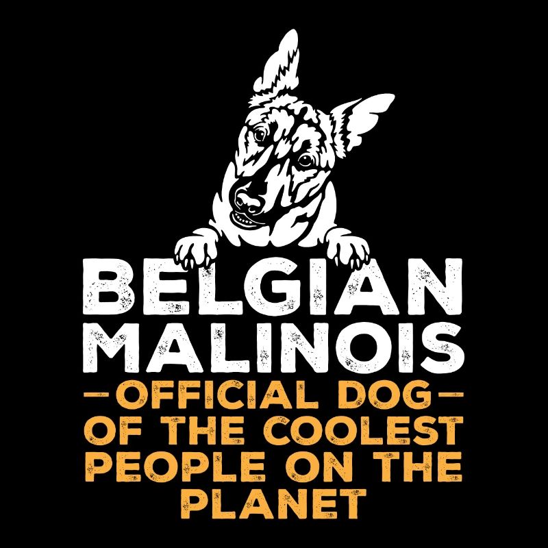 Malinois Belgian Shepherd Mechelaar Dog