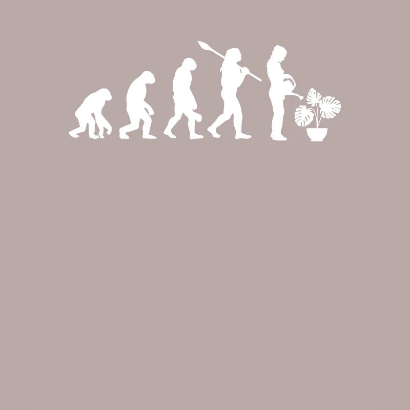 Monstera Evolution Pflanze Gärtner