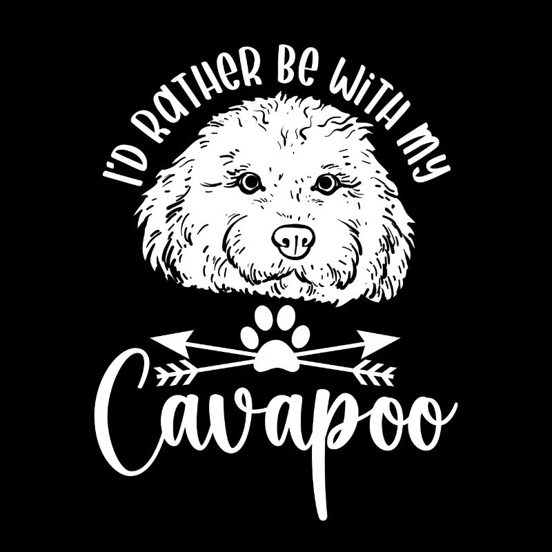 Cavapoo Cavoodle Capoodle Chien