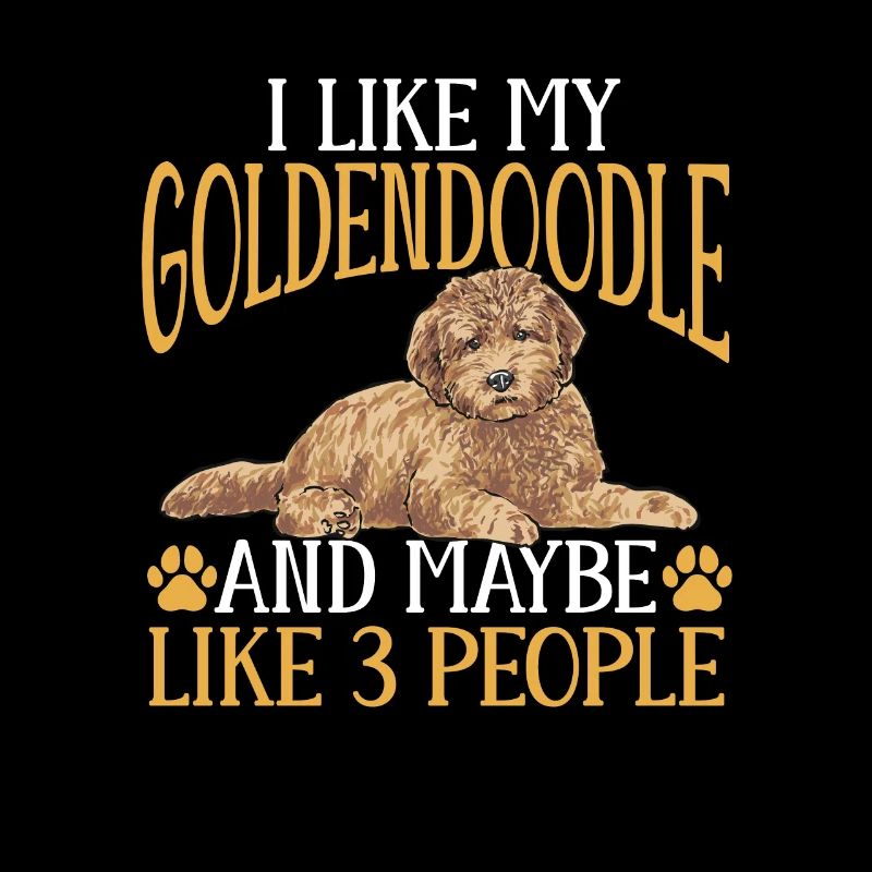 Goldendoodle Doodle Chien