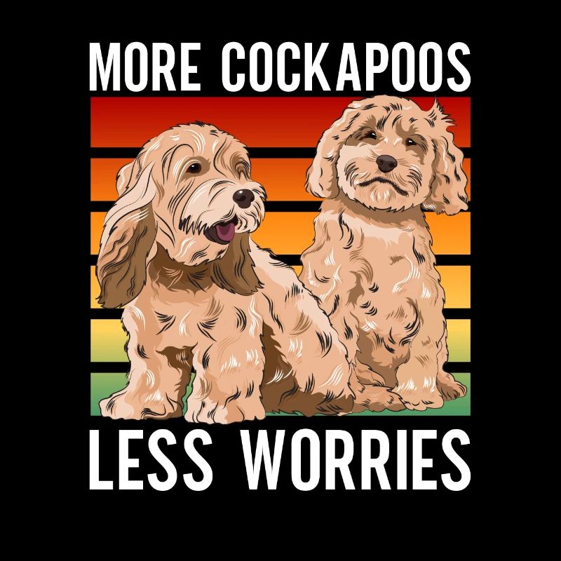 Cockapoo Chien
