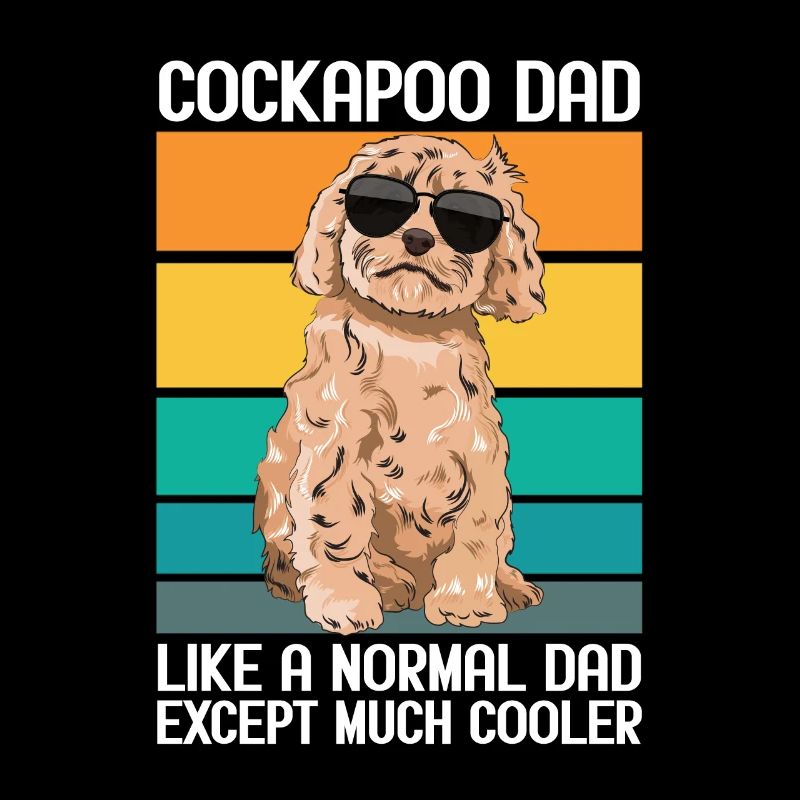 Cockapoo Chien