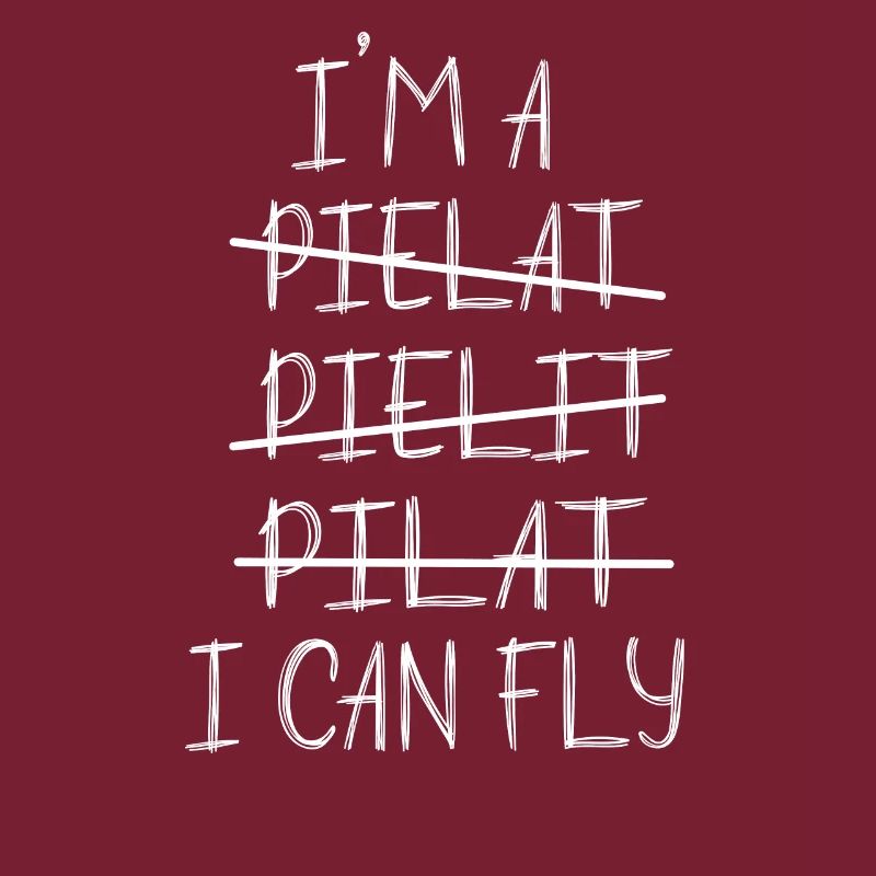 I'm a pilot, I've been drinking