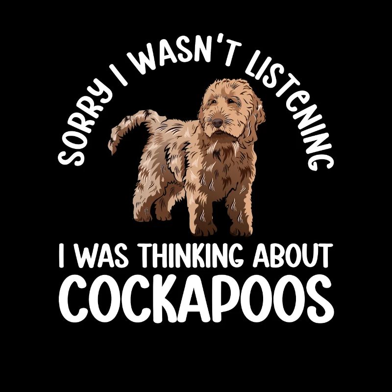 Cockapoo Chien