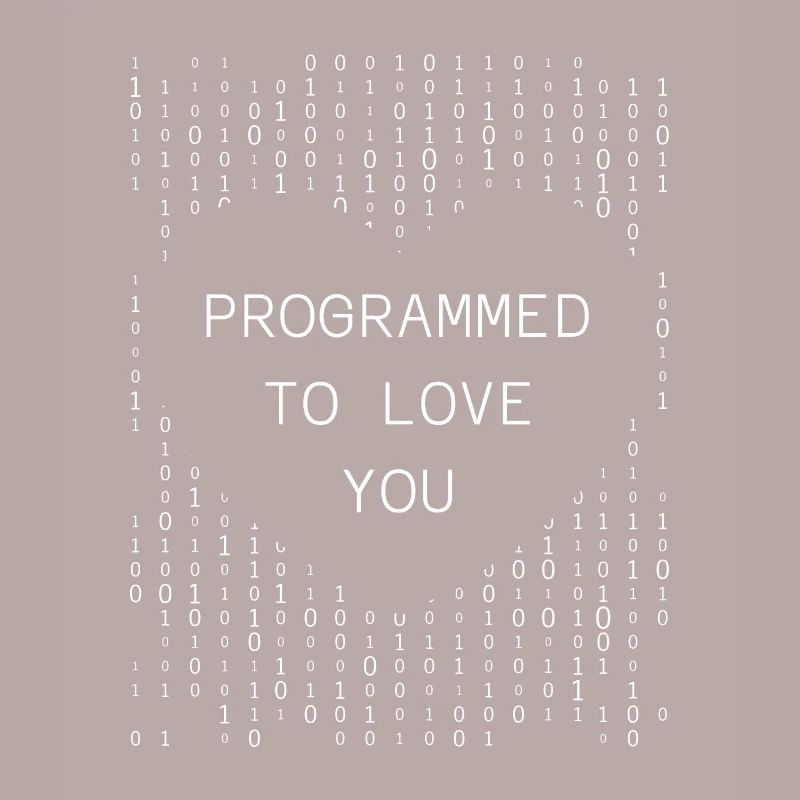 Developer Coder Programmer