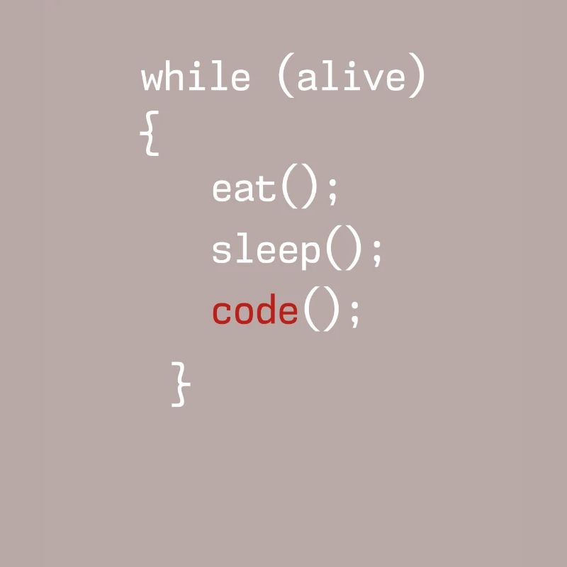Administrator Coding Geek Programmierer
