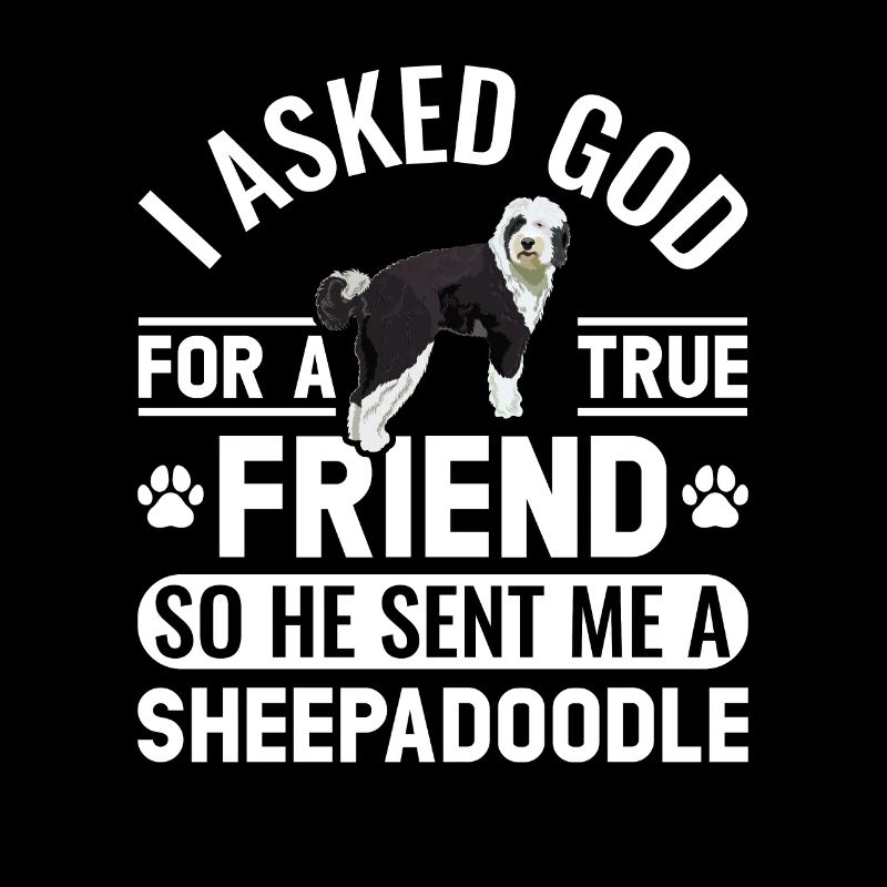 Sheepadoodle Doodle Hund