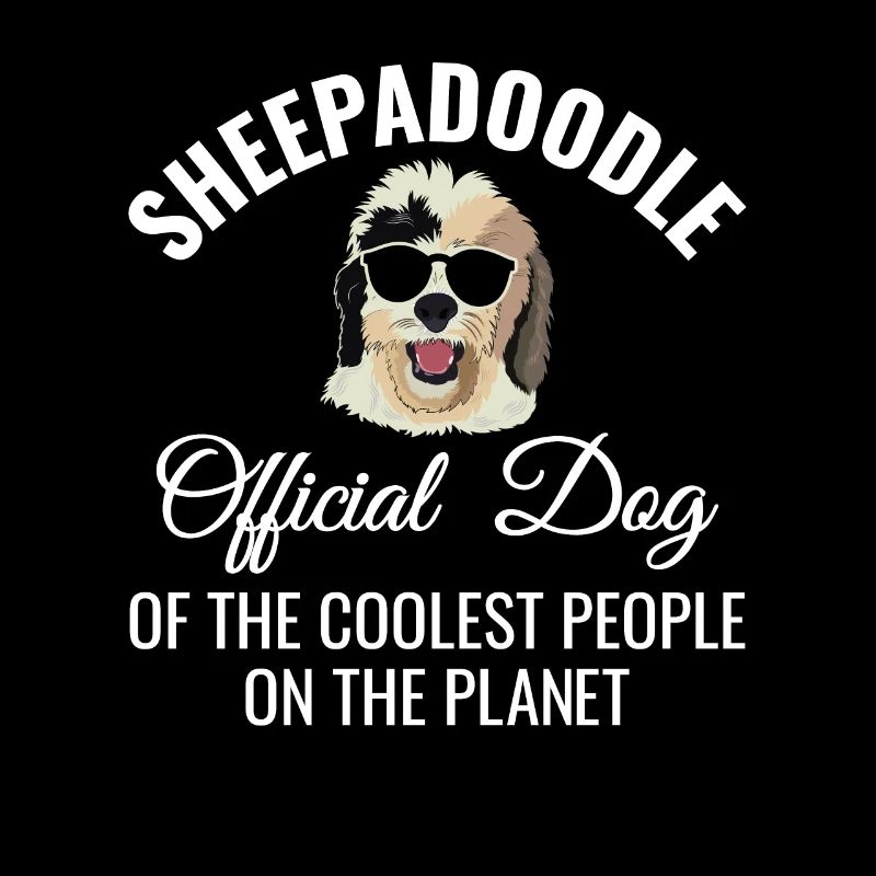 Sheepadoodle Doodle Hund