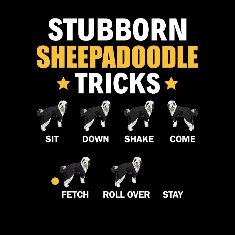 Sheepadoodle Doodle Chien