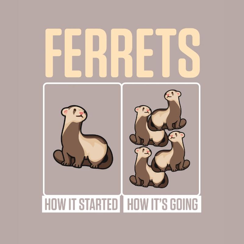 Weasel Cute Ferrets How It Started How It's Going