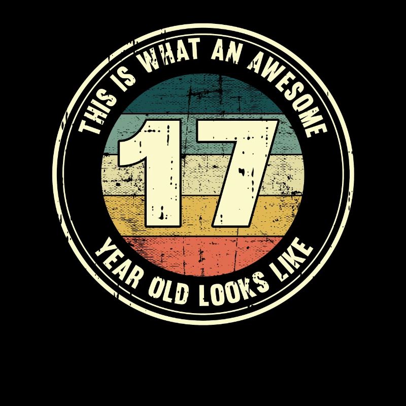 17. Geburtstag so sieht man mit 17 Retro Geschenk