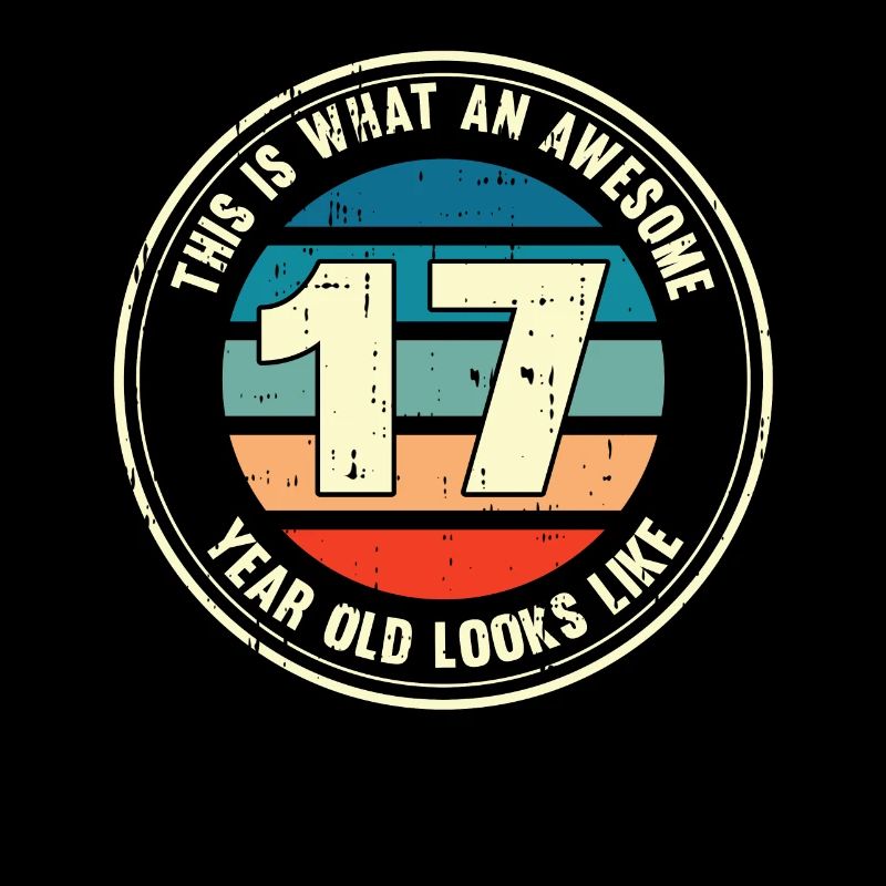 17. Geburtstag so sieht man mit 17 Retro Geschenk