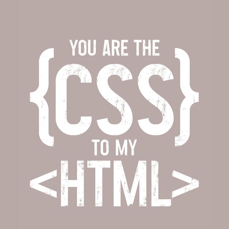 Vous êtes le CSS de mon HTML 3