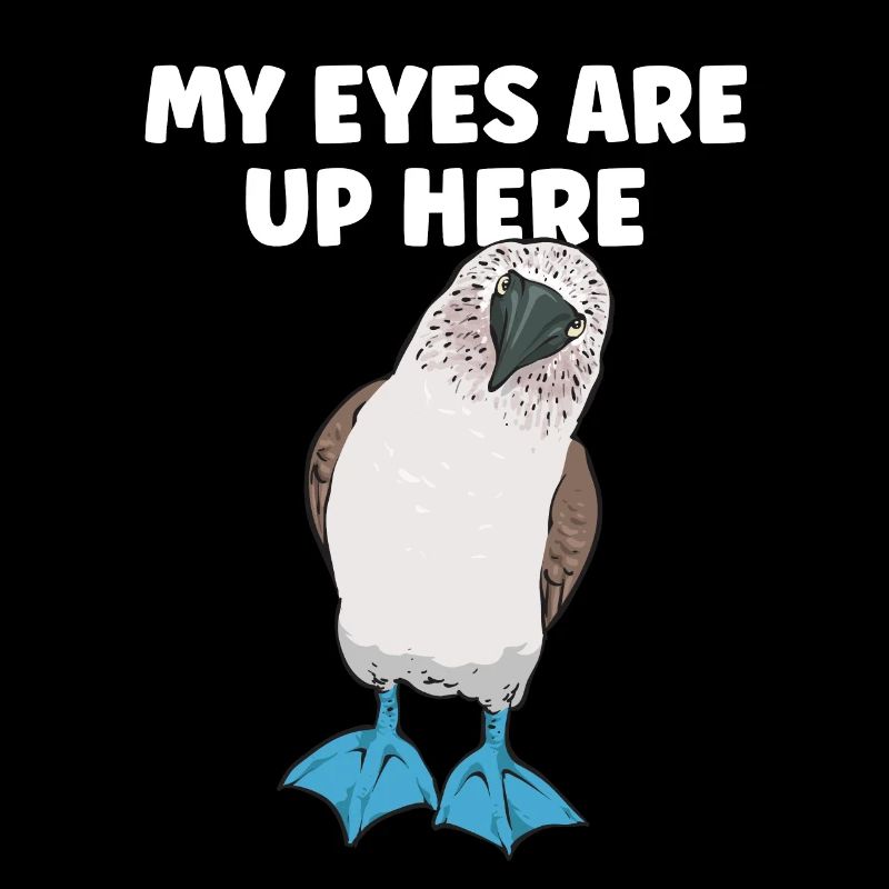 Blaufußtölpel Blue-footed Booby Seevogel