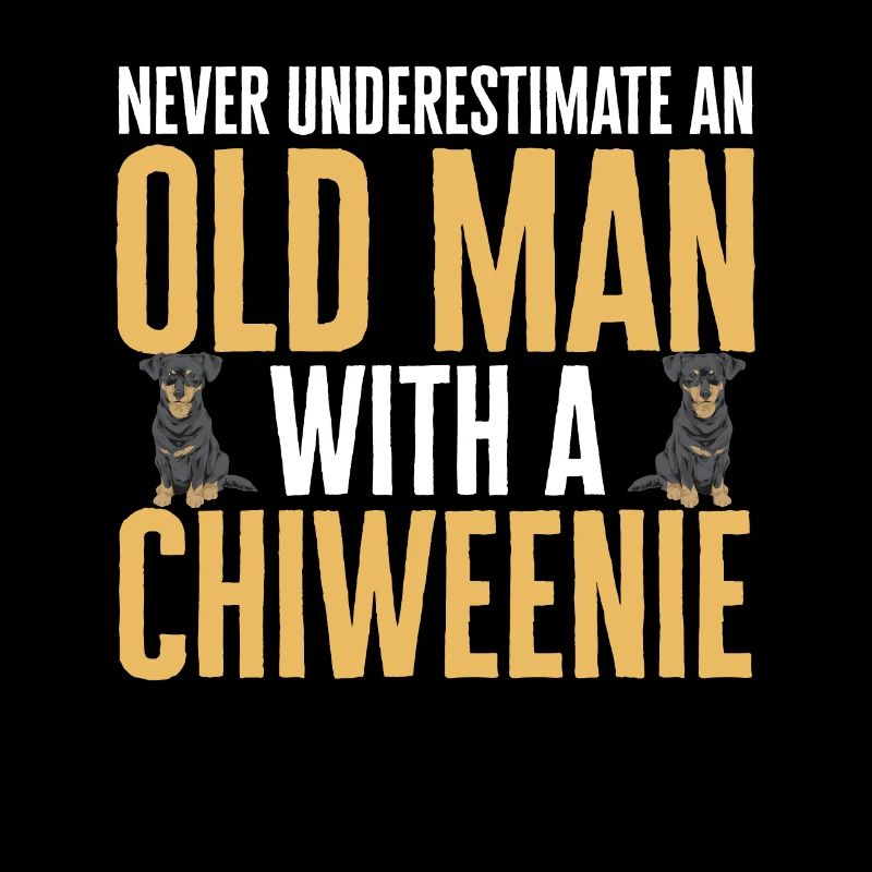 Chiweenie Dog