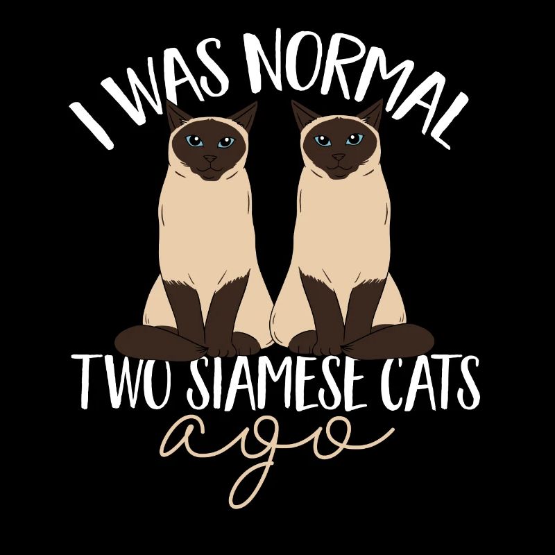 Siamese cat