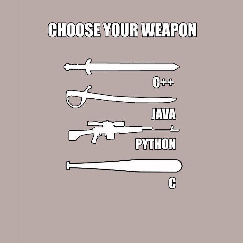Funny developer IT theme for computer scientist