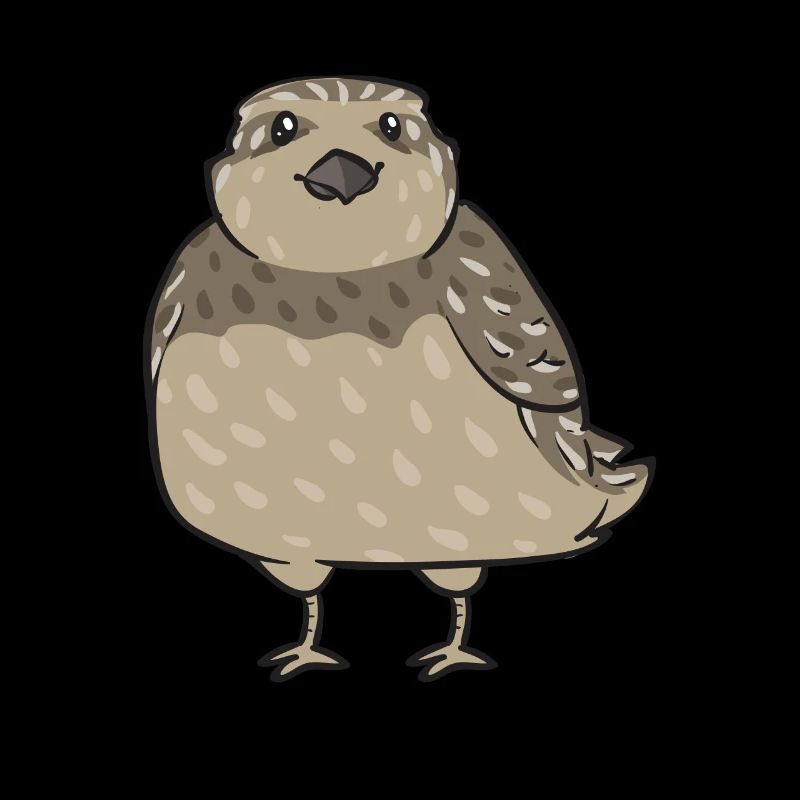 Oiseau de caille