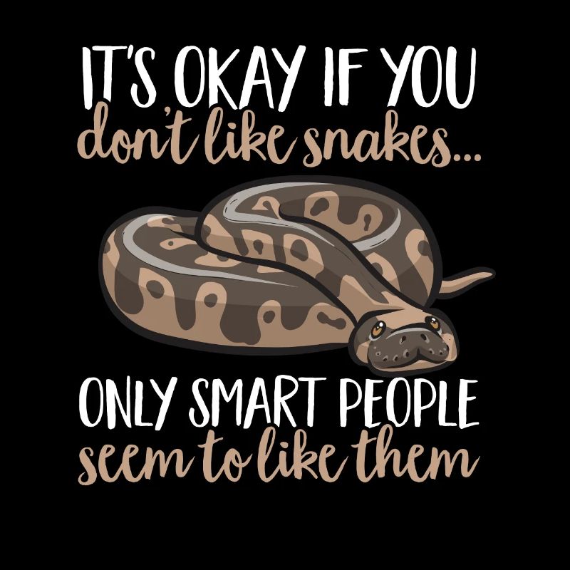 Ball Python Schlange Königspython