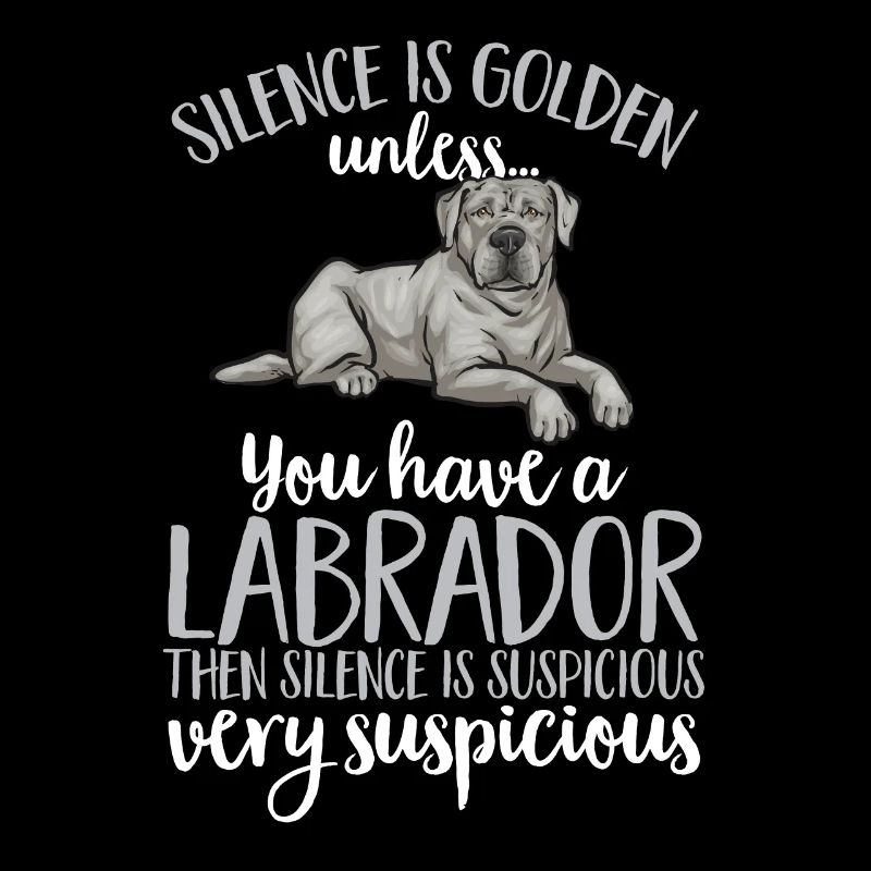 Silver Labrador Retriever Silver Lab