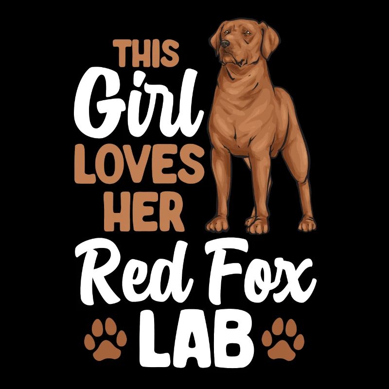 Fuchsroter Labrador Retriever Fox Red Labrador